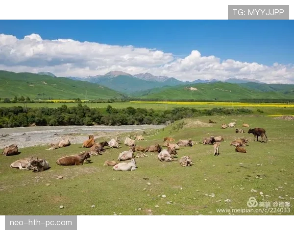 刷到唐佳豪家居照，睡眼朦胧的他旁边放着那个奢侈包，把我半年工资直接按回起点，真离谱